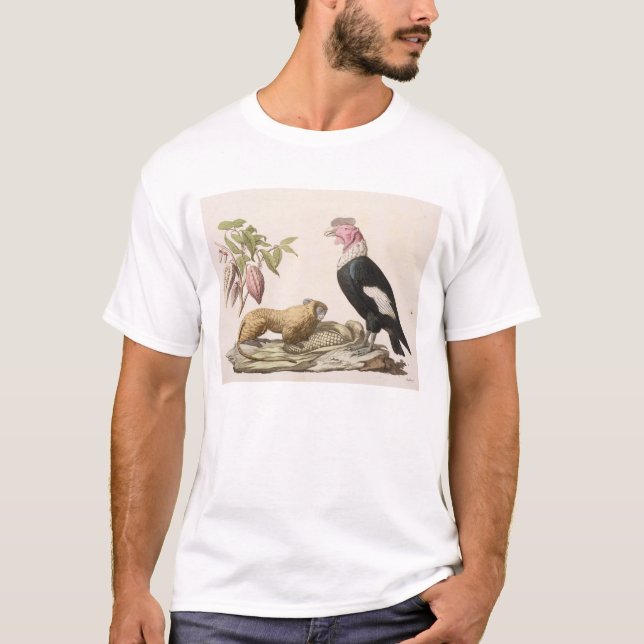 Löweaffe und -kondor, gebürtig nach Chilen oder T-Shirt (Vorderseite)
