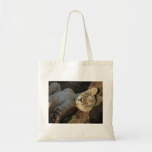 Löwejunges, das Tasche ausdehnt