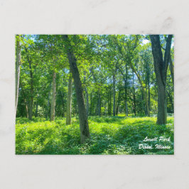 Lowell Park Dixon Illinois Postkarte