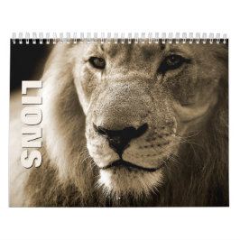 Löwen [1] Mauerkalender Kalender