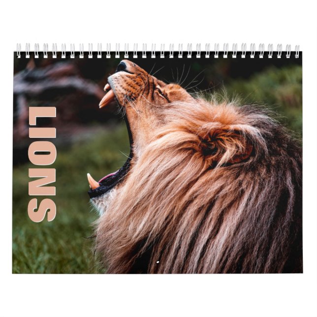 Löwen [2] Mauerkalender Kalender (Titelbild)