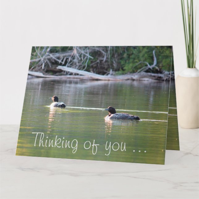 Löwen auf dem Wasser Karte (Vorderseite)