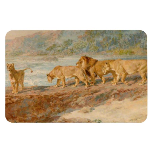 Löwen auf der Bank eines afrikanischen Flusses Magnet (Horizontal)