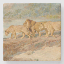 Löwen auf der Bank eines afrikanischen Flusses Steinuntersetzer