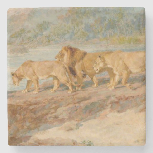 Löwen auf der Bank eines afrikanischen Flusses Steinuntersetzer (Vorderseite)