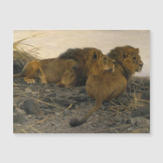 Löwen auf der Lauer von Wilhelm Kuhnert Magnetkarte