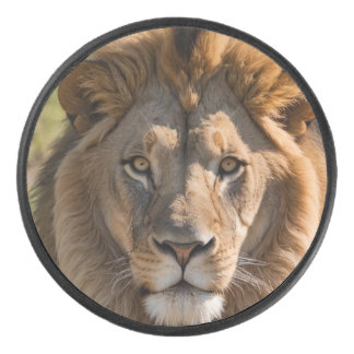Löwen Hockey Puck