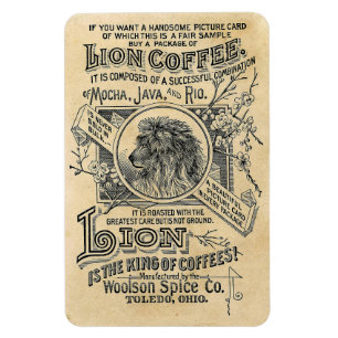 Löwen-Kaffee-Magnet Magnet
