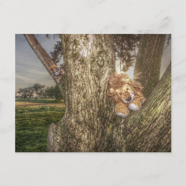 Löwen und Leopard sind Freunde Postkarte (Vorderseite)