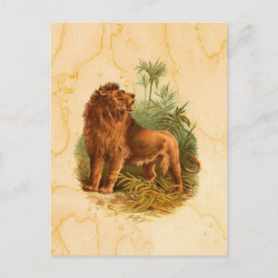 Löwen und Palmen Vintag Postkarte
