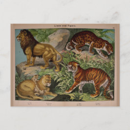 Löwen und Tiger Vintag Art Ephemera Postkarte
