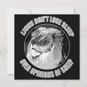 Löwen verlieren nicht den Schlaf wegen Schafen