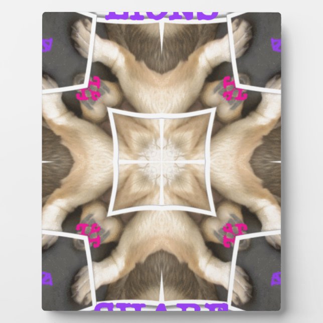 Löwenanteil Fotoplatte (Vorderseite)