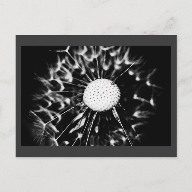 Löwenblacke Postkarte (Vorderseite)