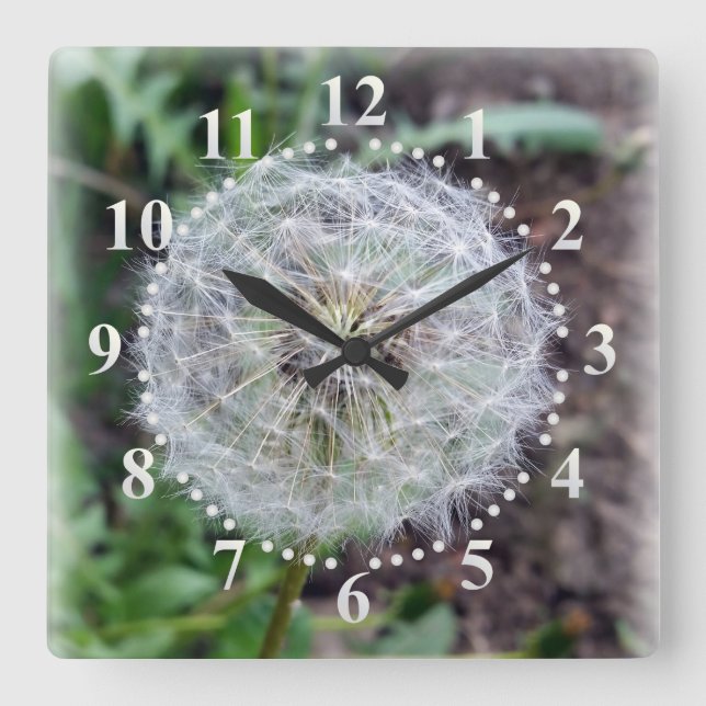 Löwenblüte Quadratische Wanduhr (Vorderseite)