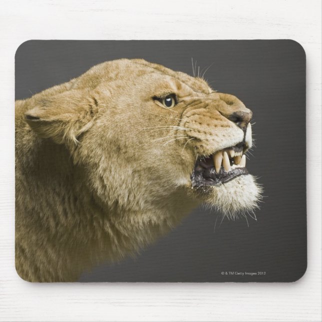 Löwenbrennen 2 mousepad (Vorne)