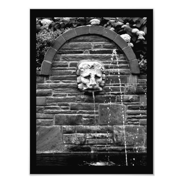 Löwenbrunnen Fotodruck (Vorne)
