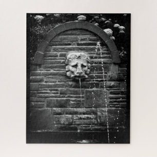 Löwenbrunnen Puzzle