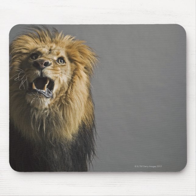 Löwenbrüten Mousepad (Vorne)