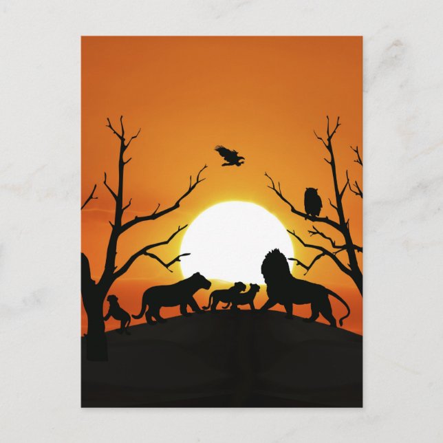 Löwenfamilie bei Sonnenuntergang in Afrika Postkarte (Vorderseite)