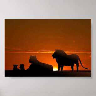 Löwenfamilie Poster