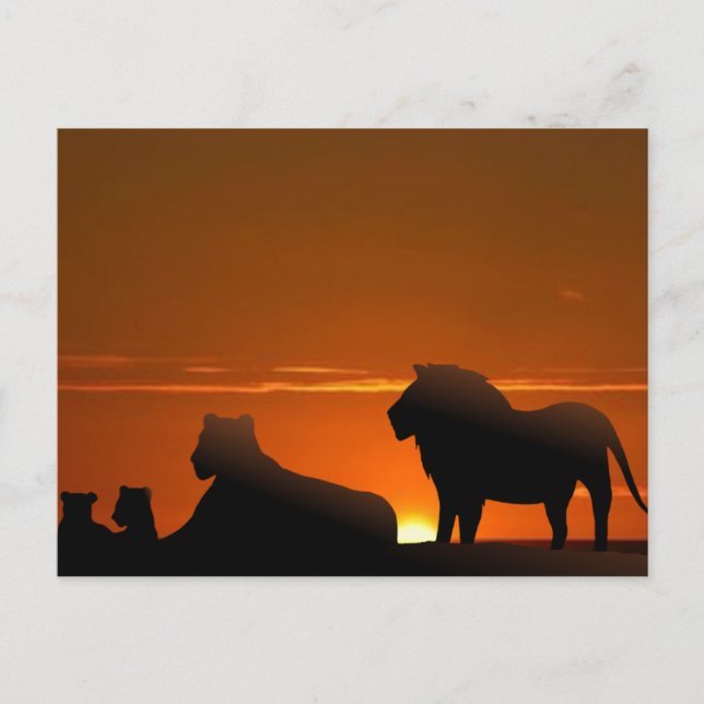Löwenfamilie Postkarte (Vorderseite)