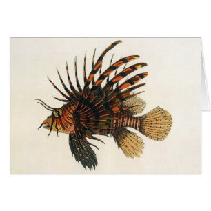 Löwenfisch Fisch, Vintage Meeresleben Tier