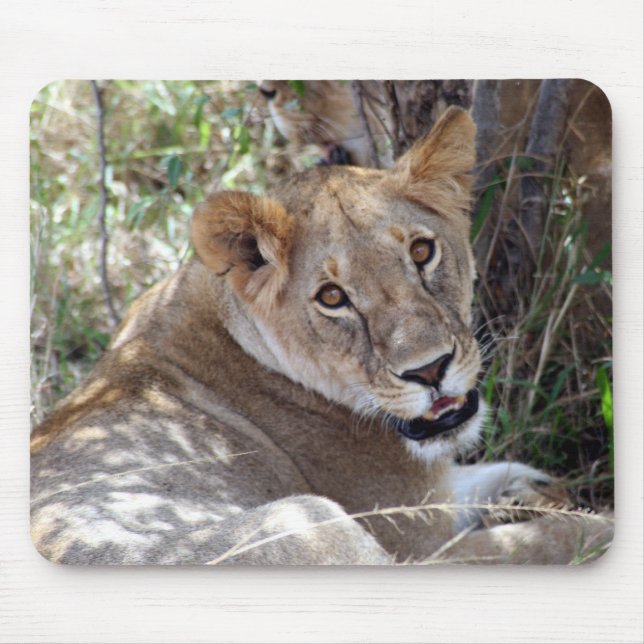 Löwenfront Mousepad (Vorne)
