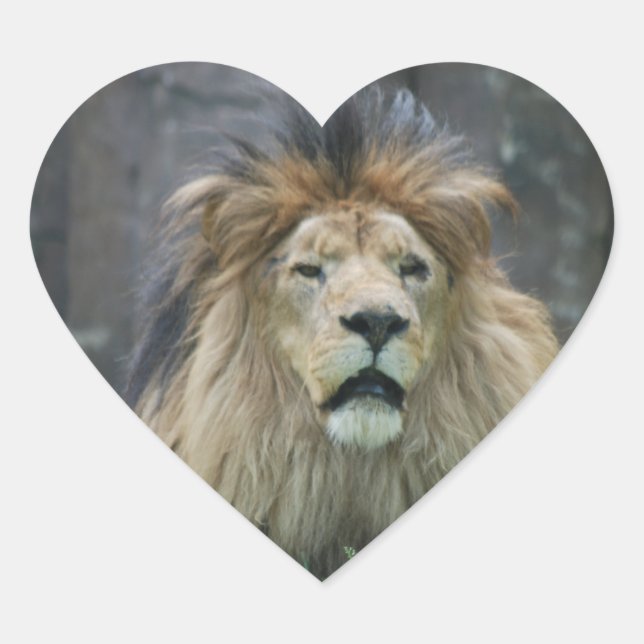 Löwenheber Herz-Aufkleber (Vorderseite)