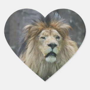 Löwenheber Herz-Aufkleber