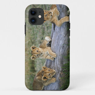 Löwenjunge auf Baumstamm Case-Mate iPhone Hülle