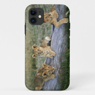 Löwenjunge auf Baumstamm Case-Mate iPhone Hülle