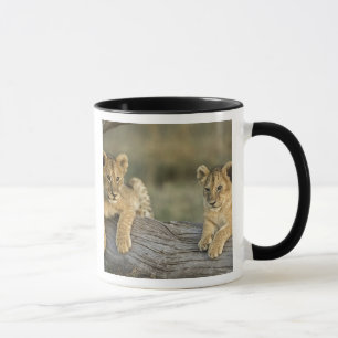 Löwenjunge auf Baumstamm Tasse