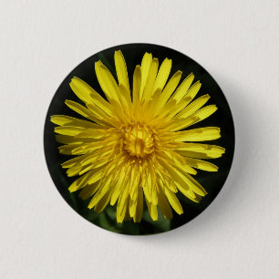 Löwenknopf Button
