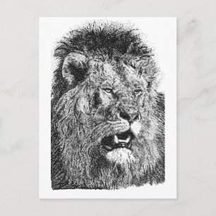 Löwenkopf-Druck Schwarz Weiß Wildlife-Kunst Postkarte