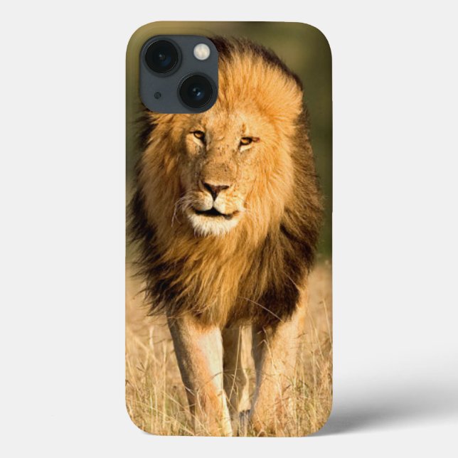 Löwenmännchen beim Gehen Case-Mate iPhone Hülle (Rückseite)