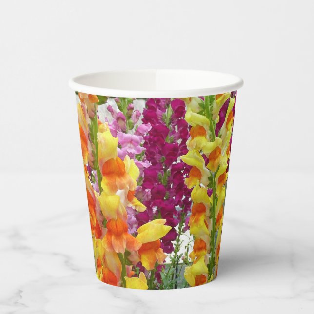 Löwenmäuler Farbige Blumen Pappbecher (Links)