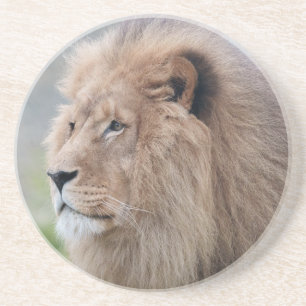 Löwenmehl Getränkeuntersetzer