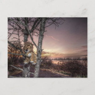 Löwenpuppe bei Morgendämmerung Postkarte