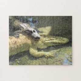 Löwenpuzzle Puzzle