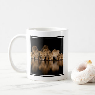Löwenrudel trinkt nachts am Wasserloch Kaffeetasse