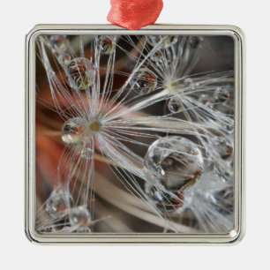 Löwenzahn Abstrakt Ornament Aus Metall