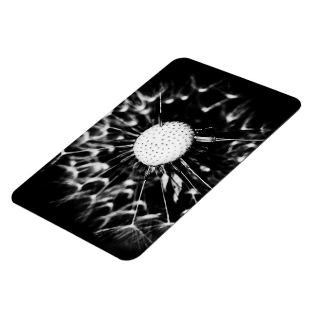Löwenzahn blacq magnet (Linke Seite)