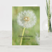 Löwenzahn-Blumen-Geburtstag (meine Fotografie)