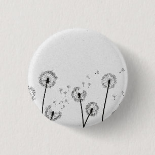 Löwenzahn Blumen Pappus Sporen Grau Button