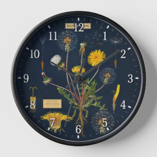 Löwenzahn - Botanisch Uhr