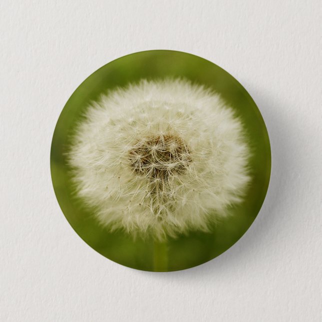Löwenzahn Button (Vorderseite)
