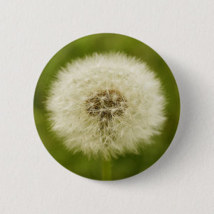 Löwenzahn Button