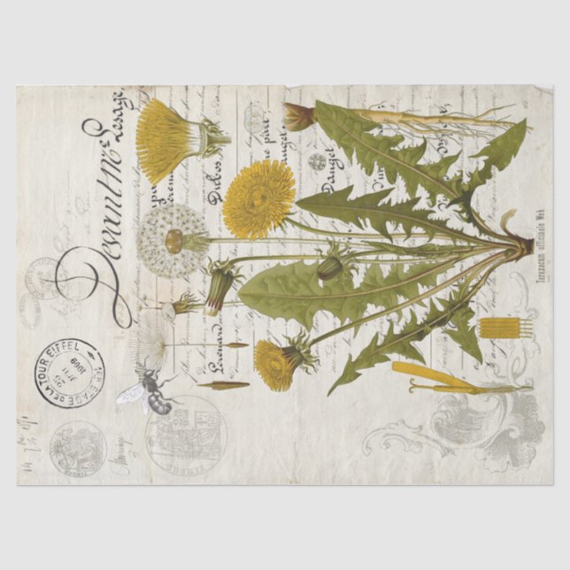 Löwenzahn-Decoupage-Tissue-Blatt Seidenpapier (Vorderseite)