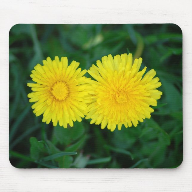 Löwenzahn/Dotterblume Mousepad (Vorne)